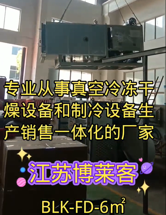 视频预览
